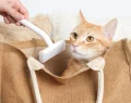 How Often Should You Use a Deshedding Tool for Cats?