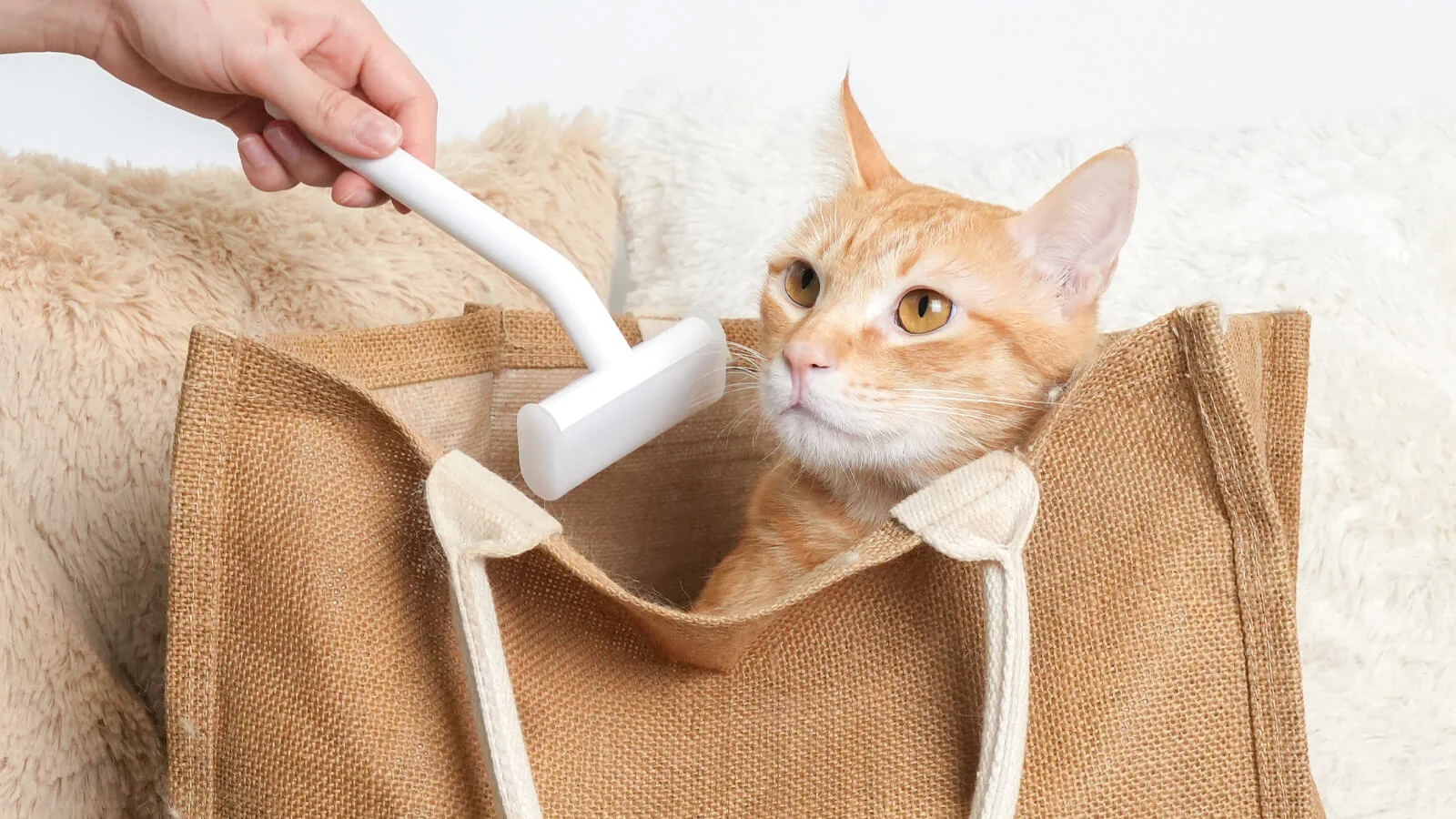 How Often Should You Use a Deshedding Tool for Cats?